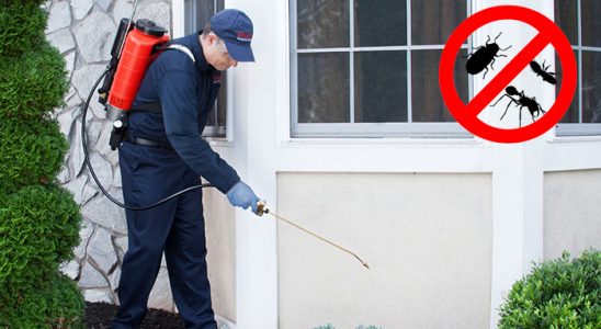 Erdemli Kemirgen İlaçlama böcek ilaçlama ve haşere kontrolü — ilaclama-tr.com